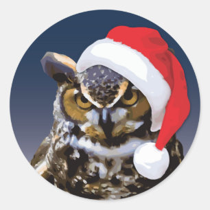 Christmas Owl - Classic Round Sticker, Glossy Sticker