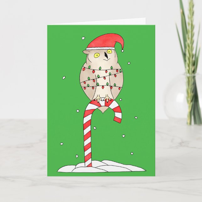 Christmas Owl Cute Funny Holiday Card (Front)