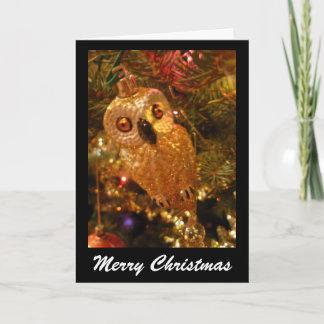 christmas owl holiday card