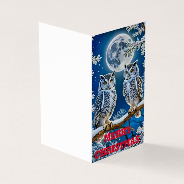 Christmas owls  (Outside)