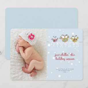 Christmas Owls Holiday Photo Card