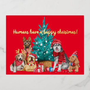 Christmas pack of dogs under the  tree postcard