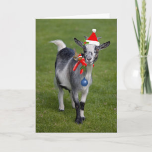 Christmas Pals Card