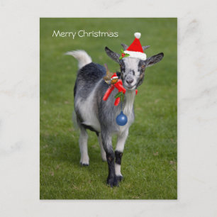Christmas Pals Postcard