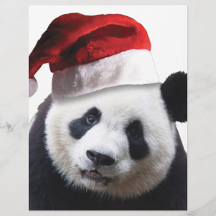 Christmas Panda Bear