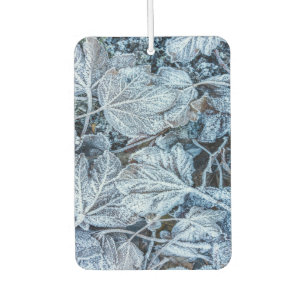 Christmas Party Blue Leaves Snow Holidays Winter Air Freshener