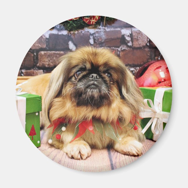 Christmas - Pekingese - Pebbles Magnet (Front)
