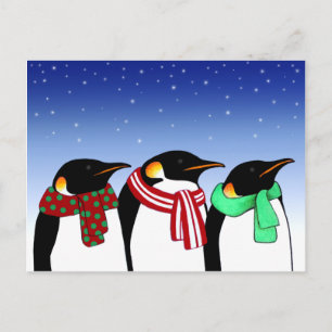 Christmas Penguins Holiday Post Card