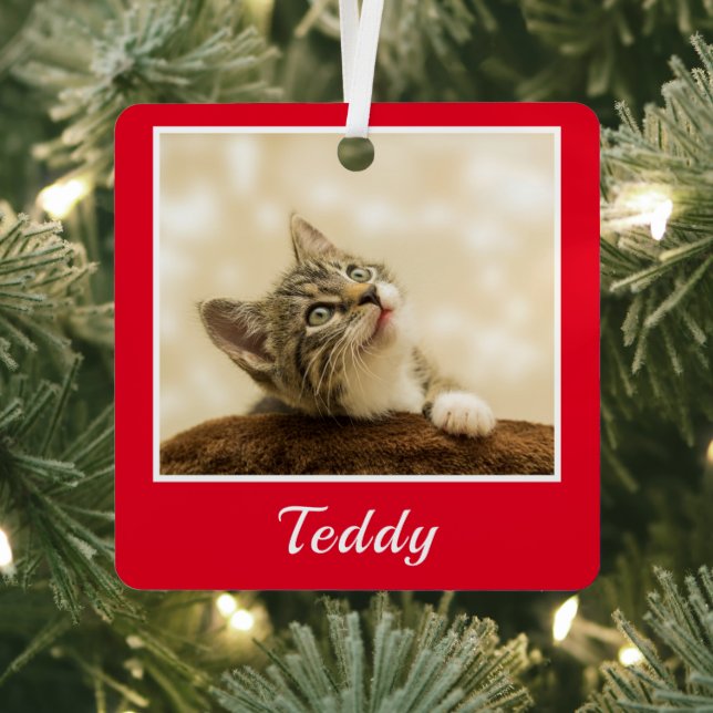 Christmas Pet Photo Name Metal Ornament (Insitu)