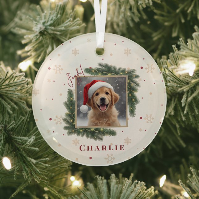 Christmas Pet Photo – Personalized Keepsake Glass Ornament (Insitu)