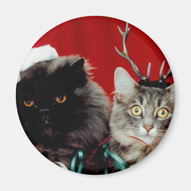 Christmas Pets Magnet (Front)
