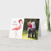 Christmas photo card funny Santa flamingo