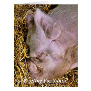 CHRISTMAS PIG CARD