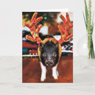 Christmas Pig Greeting Card