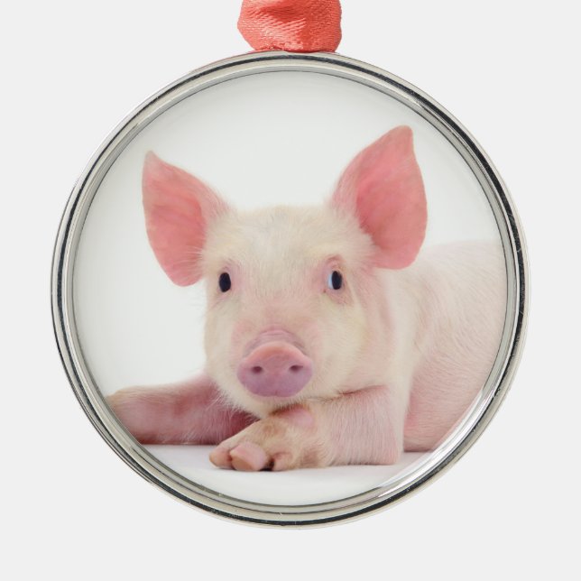 "CHRISTMAS PIGGY" ORNEMENT DE NOËL (Devant)