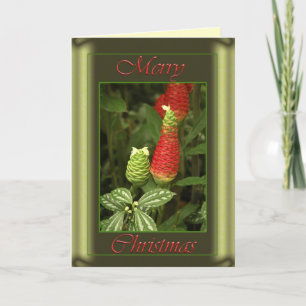 Christmas Pine Cone Card