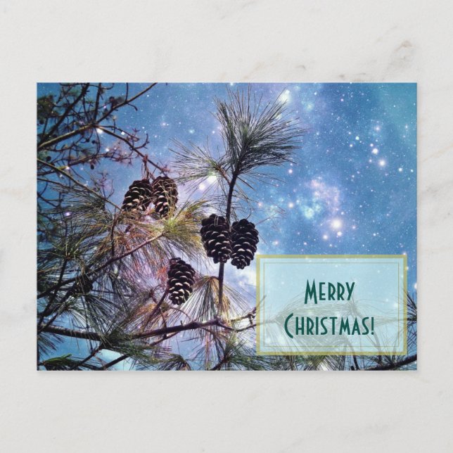 Christmas Pine cones and starry night sky Holiday Postcard (Front)