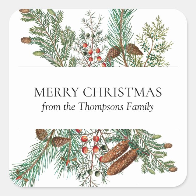 Christmas Pine Conifer Forest Festive Evergreen Square Sticker (Front)