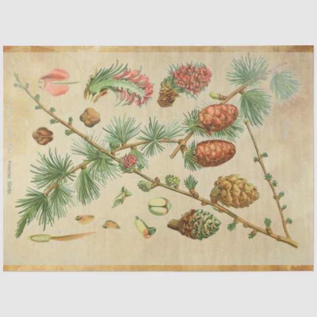 Christmas Pine Decoupage Paper (Front)