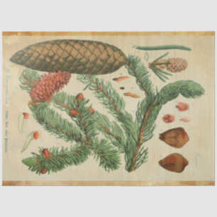 Christmas Pine Decoupage Paper