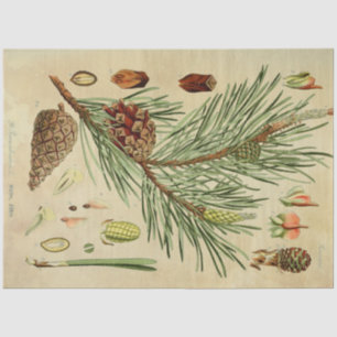 Christmas Pine Decoupage Tissue Paper