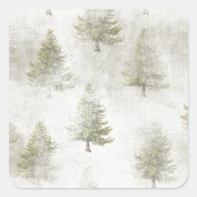 Christmas Pine tree Grunge Snow background Square Sticker (Front)
