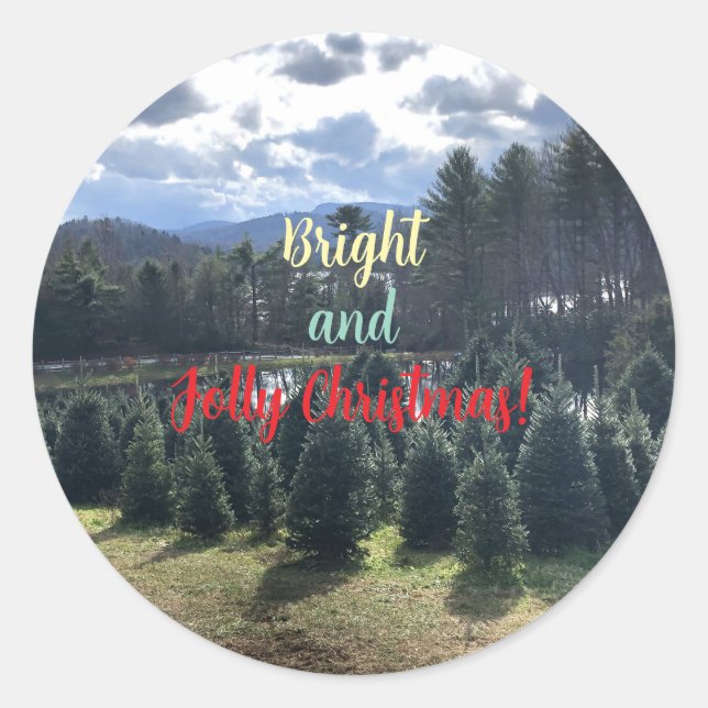 Christmas Pine Trees Stickers (Devant)