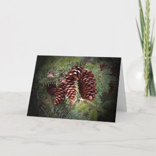Christmas Pinecone Arrangement Happy Holidays Card