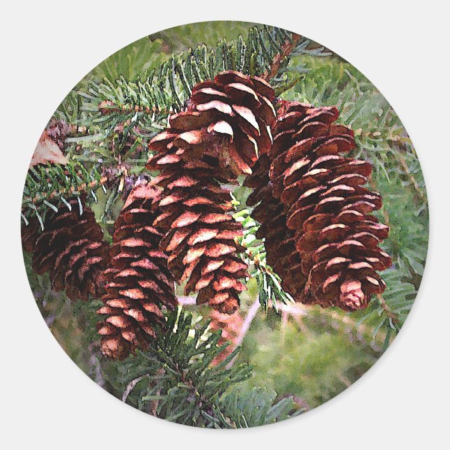 Christmas Pinecone Arrangement Happy Holidays Classic Round Sticker (Front)
