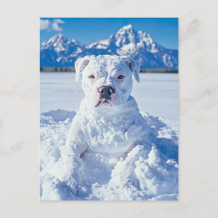 Christmas Pitbull Dog Snowman Postcard