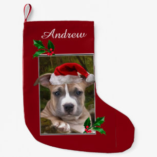Christmas pitbull puppy personalized Stocking