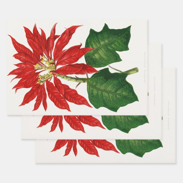 Christmas Poinsetta Flower Red Decoupage Wrapping Paper Sheet (Set)