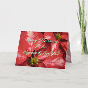 Christmas Poinsettia 2 -customize Holiday Card