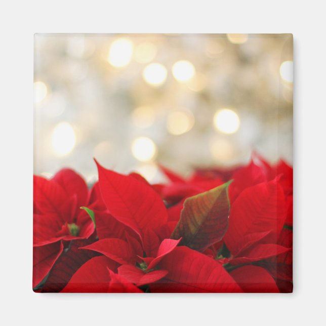 Christmas Poinsettia Magnet (Front)