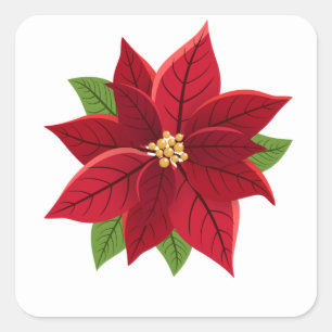 Christmas Poinsettia   Square Sticker
