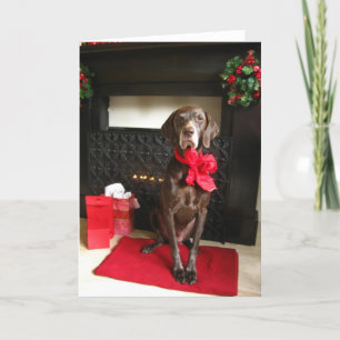christmas pointer holiday card