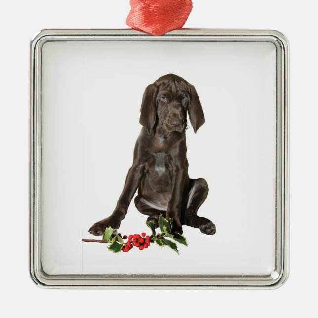 Christmas Pointer Puppy Metal Ornament (Front)