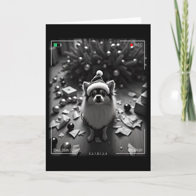 Christmas Pomeranian Caught On Camera  Card (Front)