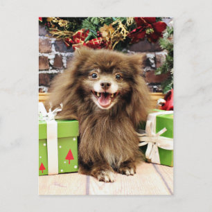 Christmas - Pomeranian - Fred Holiday Postcard