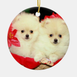 Christmas Pomeranians Ornament