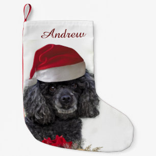 Christmas poodle dog personalized Stocking