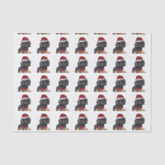 Christmas Poodle dog tissue paper