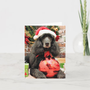 Christmas - Poodle - Lily Holiday Card