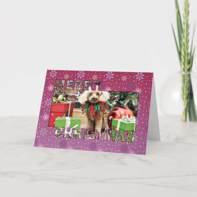 Christmas - Poodle - Sam Holiday Card (Front)