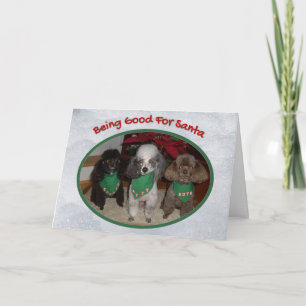 Christmas Poodles Being Good for Santa Holiday  Card