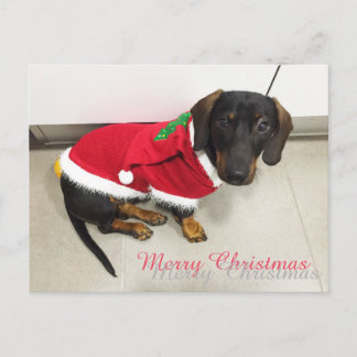 Christmas postcards