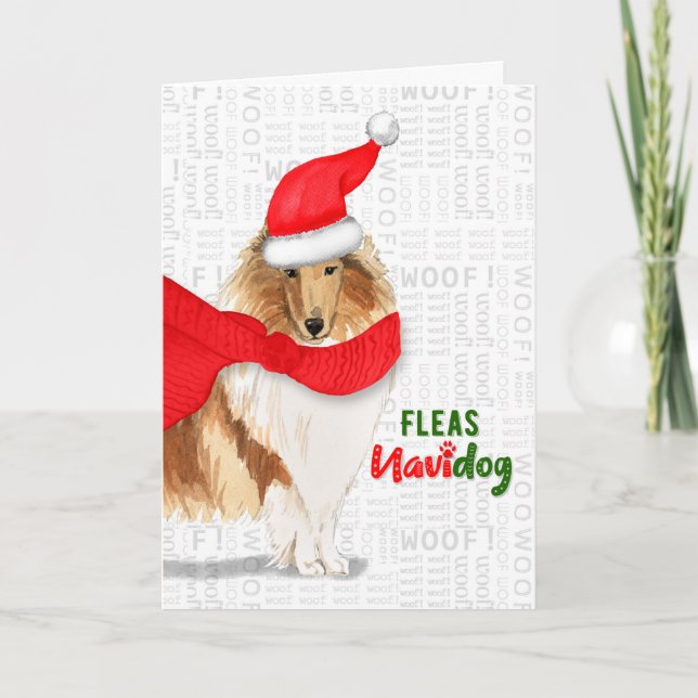 Christmas Pretty Rough Collie Fleas NaviDOG Holiday Card (Front)