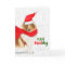 Christmas Pretty Rough Collie Fleas NaviDOG