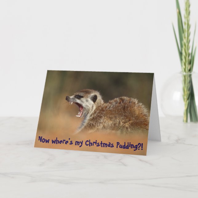 Christmas Pudding - KMP Christmas Card (Front)