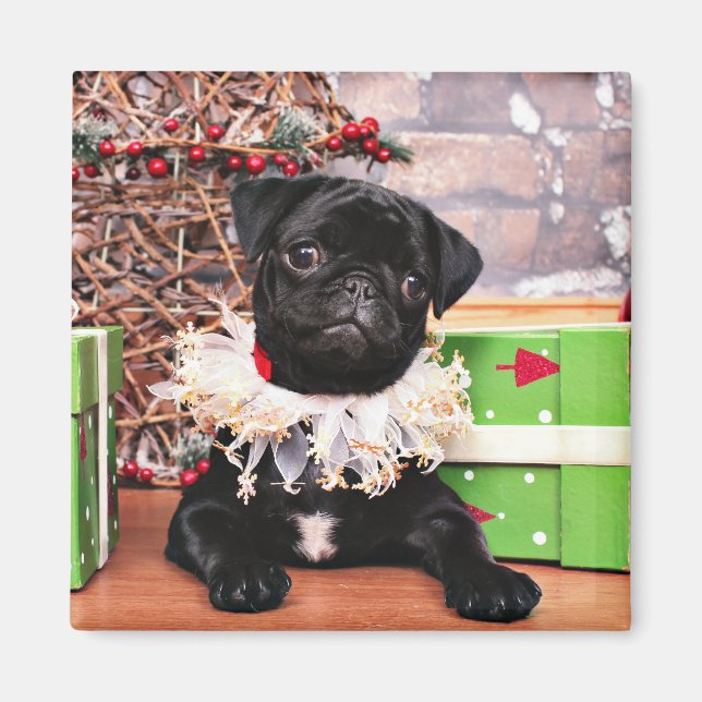 Christmas - Pug - Daisy Mae Magnet (Front)